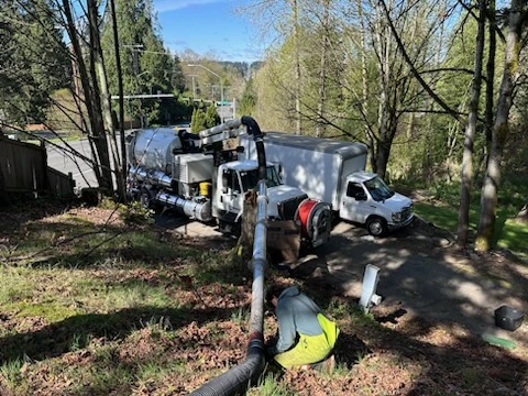 Professional Plumbing Services